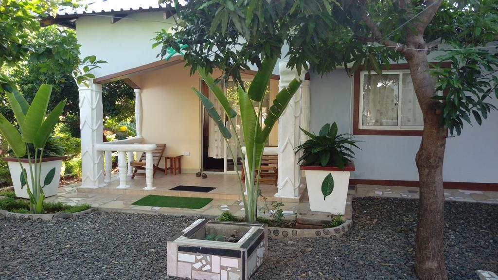 White Rose Lodge ليفينغستون المظهر الخارجي الصورة